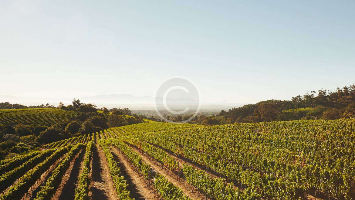 Farming in Australia